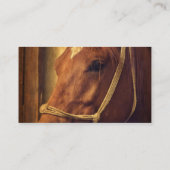 ロープのホールターのスイバ 名刺 (裏面)