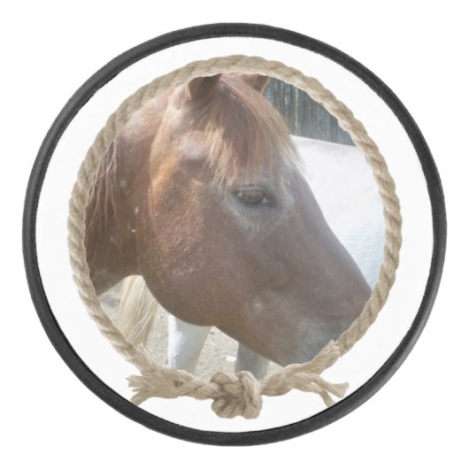 ロープの投げ縄の円フレームのカスタムな写真のデザイン アイスホッケーパック (正面)