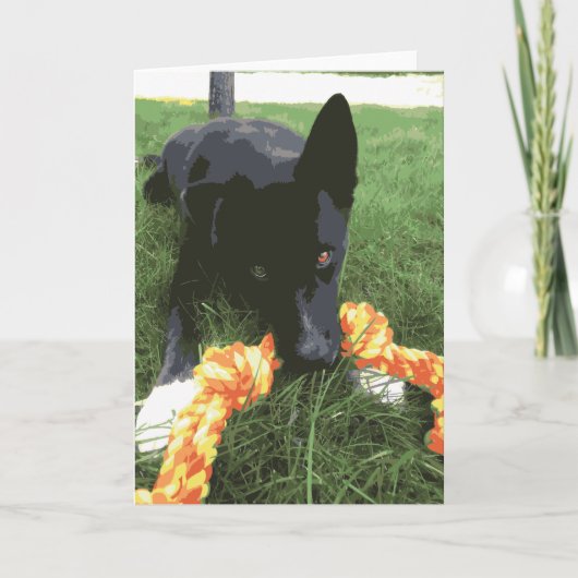 ロープトイブラックのかわいいハスキーのラボ犬 カード (正面)