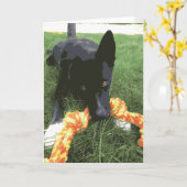 ロープトイブラックのかわいいハスキーのラボ犬 カード (黄色い花)