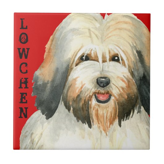 ローヘンカラーブロック タイル (正面)