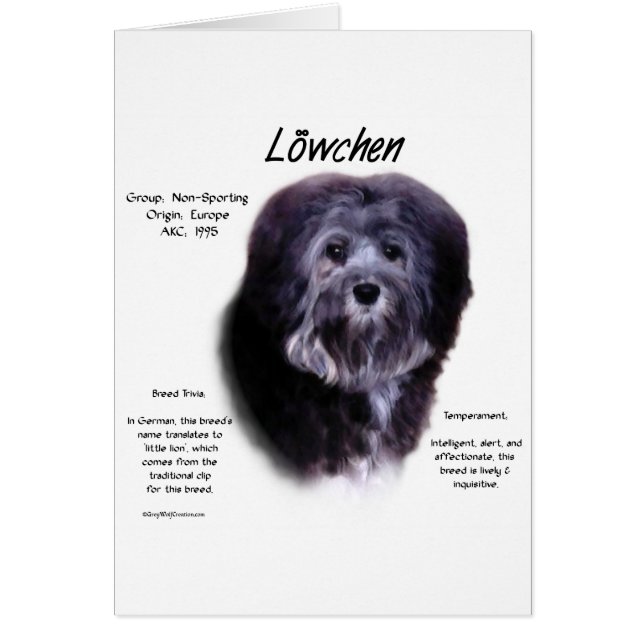 ローヘンヒストリーデザイン (正面)