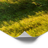 ローボートモーテッド湖 ポスター (角)