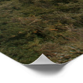 ローマのアクワット ポスター (角)