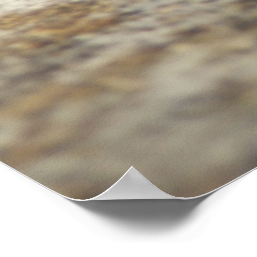 ローマのカタツムリのポスター ポスター (角)