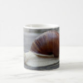 ローマのカタツムリ コーヒーマグカップ (中央)