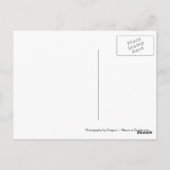 ローマのコリセウム ポストカード (裏面)