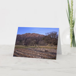 ローマのフォートアンブレサイドイングランド サンキューカード