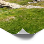 ローマのフォーラムのポスター ポスター (角)