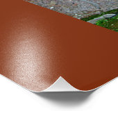 ローマのフォーラムの彫像 フォトプリント (角)