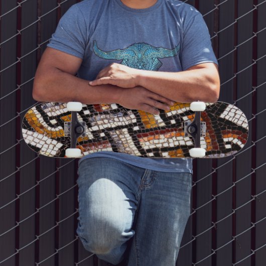 ローマのモザイク スケートボード (室外3)