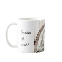 ローマの噴水おもしろい引用文