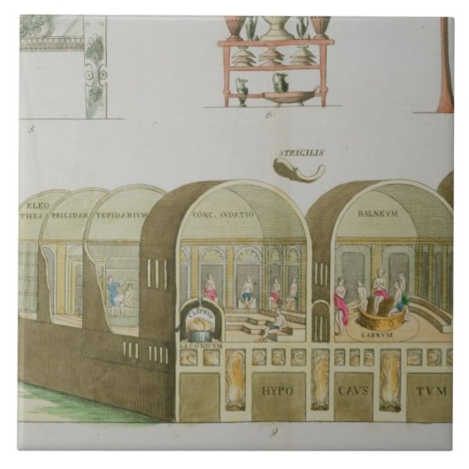 ローマの浴室、「国家の歴史からのプレート タイル (正面)