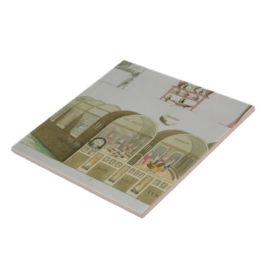 ローマの浴室、「国家の歴史からのプレート タイル (側面)