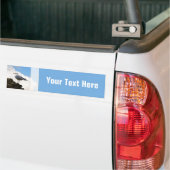 ローマの煉瓦壁のカモメ バンパーステッカー (トラック上)