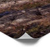 ローマの砦アンブレサイドクンブリア葉書クッション ポスター (角)