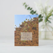 ローマは日用はがきに組み込まれなかった ポストカード (スタンド正面)