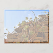 ローマは日用はがきに組み込まれなかった ポストカード (裏面)