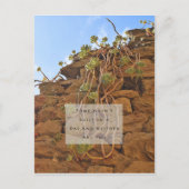 ローマは日用はがきに組み込まれなかった ポストカード (正面)