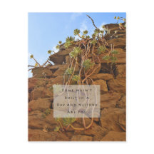 ローマは日用はがきに組み込まれなかった