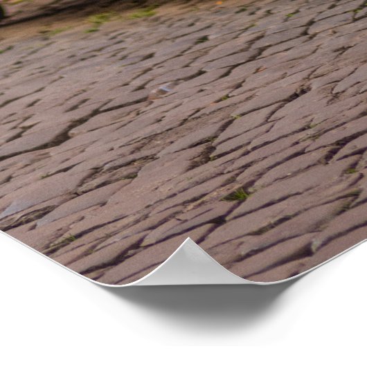 ローマクラシックイタリアンイタリアで500台の車 ポスター (角)