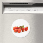 ローマトマト マグネット (インサイチュ (食洗機))