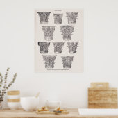 ローマンカラムコリントスタイル建築 ポスター (キッチン)