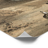 ローマンコリセウムヴィンテージアート ポスター (角)