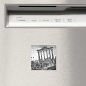 ローマンフォーラム磁石 マグネット (インサイチュ (食洗機))