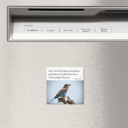 ローマン8:28 (KJV) マグネット (インサイチュ (食洗機))