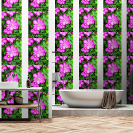 ローマ人とのクレマティス5:3-5 壁紙