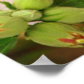 ローマ人との蝶12:2 ポスター (角)