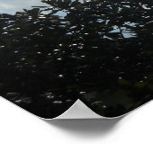 「ローマ人への手紙第11章36節は彼のためであり、彼を通して… ポスター (角)