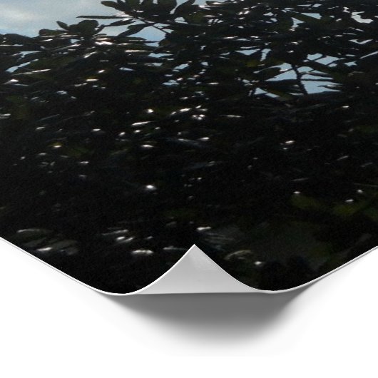 「ローマ人への手紙第11章36節は彼のためであり、彼を通して… ポスター (角)