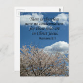 ローマ人への手紙第8章1節 ポストカード (正面/裏面)