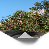 ローマ人10:13だれでも訪れようとするとき… ポスター (角)