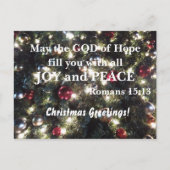 ローマ人15:13希望の神があなたがたを満たしてくれたまえ ポストカード (正面)