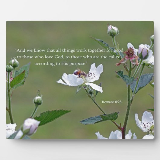 ローマ人8時28分 フォトプラーク (正面)