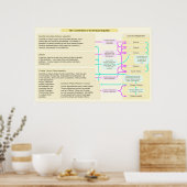 ローマ共和国の憲法構造 ポスター (キッチン)