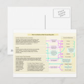 ローマ共和国の憲法構造 ポストカード (正面/裏面)