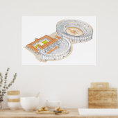 ローマ劇場と円形劇場。再建。 ポスター (キッチン)