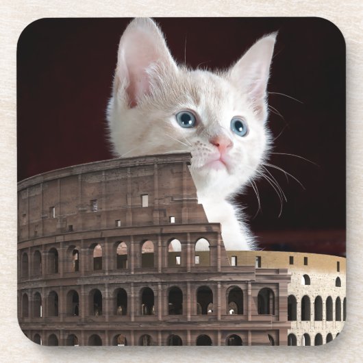 ローマ子猫 コースター (正面)