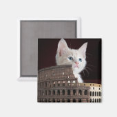 ローマ猫科の動物 マグネット (正面/裏面)