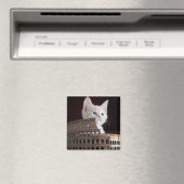 ローマ猫科の動物 マグネット (インサイチュ (食洗機))