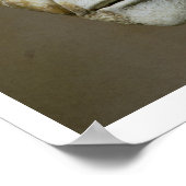 ローマ皇帝フィリップ・ザ・アラブ首領(244-249) ( ポスター (角)