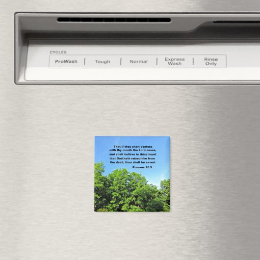 ローマ10:9 マグネット (インサイチュ (食洗機))