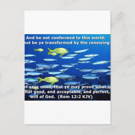 ローマ12:2 ポストカード (正面)