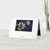 ローマ15:13希望の神ホワイトフラワー カード (裏面)