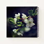 ローマ15:13希望の神ホワイトフラワー ノートブック (裏面)