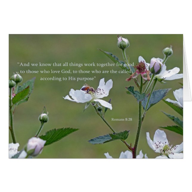 ローマ8:28 (正面横)